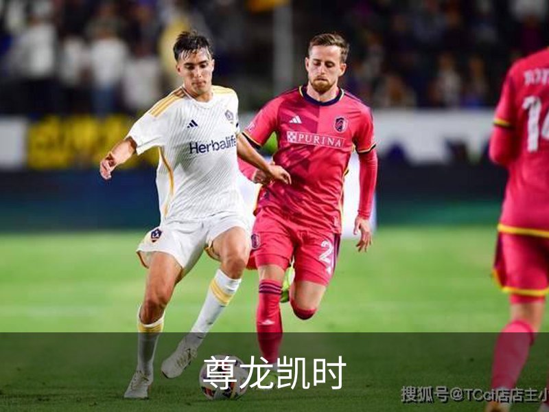 尊龙凯时简介